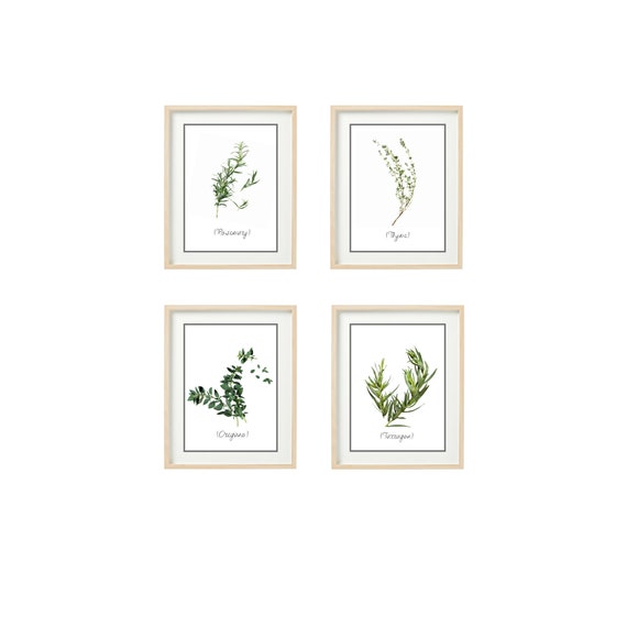 Set Of 4 Herbs Print Wall Art Herbs Kitchen Wall Art Kitchen Etsy