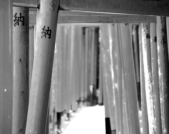 Torii Gate Black and White Print, Shinto Shrine, Tokyo, Japan, Culture & Travel, Wall Art, Home Decor, Fine Art, Urban Photography, Poster