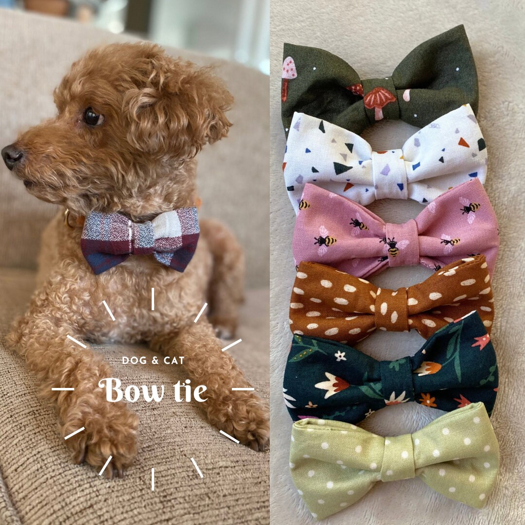 petsmart dog bow tie