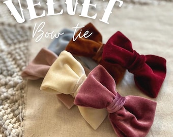 Velvet bow tie for dog • Holiday pet bow tie • Dog bow tie • Valentine’s dog bow tie • Burgundy dog bow tie • Velvet pet bow tie • Big Bow t