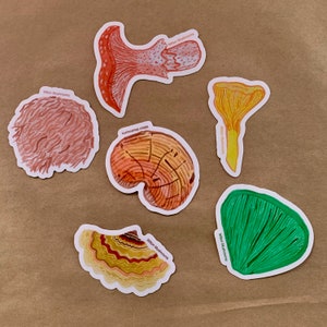 以下が含まれることがあります： 「Milon Mushrooms」というテキストが書かれた、カラフルなキノコのステッカー6枚。ステッカーは、赤、オレンジ、黄色、緑、茶色など、さまざまなキノコの形と色を特徴としています。