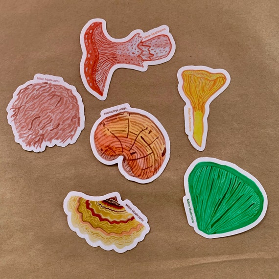 Australian fungi sticker pack