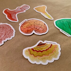 以下が含まれることがあります： 白い縁取りのあるカラフルなキノコのステッカー5枚。ステッカーには、赤とオレンジのキノコ、黄色のキノコ、緑のキノコ、オレンジと黄色のキノコ2つなど、さまざまな種類のキノコが描かれています。ステッカーには「Milton Mushrooms」とラベルが貼られています。