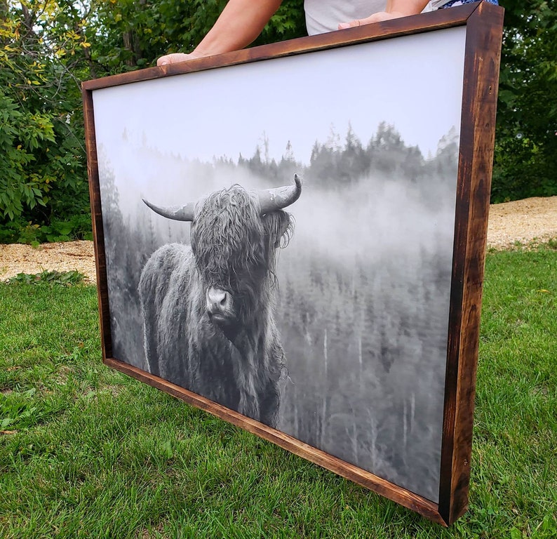 Highland Cow Canvas Print Framed Canvas Highland Cattle Etsy