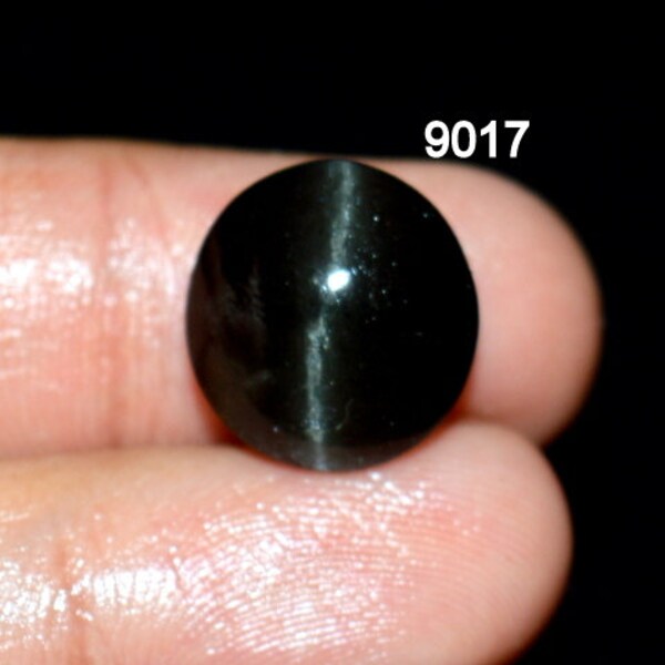 Cabochon oeil de chat Spotlite de qualité unique, 100 % naturel, 13,55 carats, 14 x 14 x 9 mm, pierre précieuse en vrac pour la fabrication de bijoux C 9017