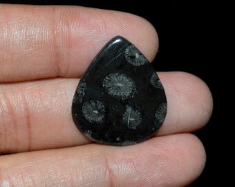 Black Fossil Coral A One Quality 100% Natural Fossil Coral 26X22X2 . mm 9.75 Ct Cabochon Loose Gemstone For Making Jewelry D 1994