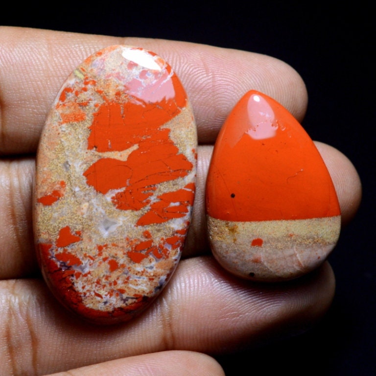 apple fossil