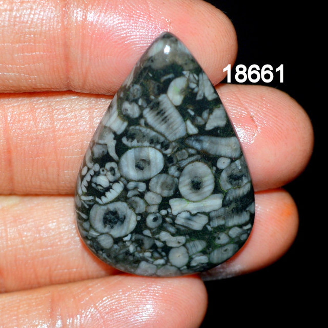 SHELL FOSSIL JASPER A One Quality 100 Natural Shell Fossil Etsy