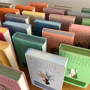 May include: A shelf full of colourful books with the title "Bibliotekа Mirovoy Literatury Dlya Detey" repeated on the spines. The books are arranged in a staggered pattern, creating a visually appealing display.