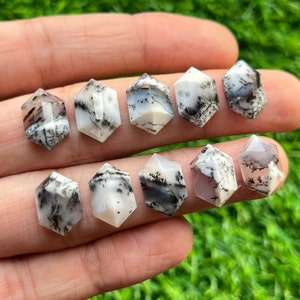 Puede incluir: Una colección de puntas de cristal de ágata dendrítica. Cada cristal hexagonal es blanco con inclusiones dendríticas negras y grises. Los cristales se sostienen en una mano sobre un fondo verde.