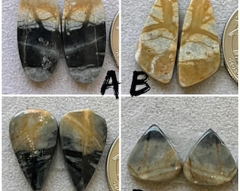 May include: Four pairs of polished gemstone cabochons in various shapes. The stones feature a mix of colors including tan, black, and gray, with unique veining patterns. Each pair is displayed next to a coin for size reference.