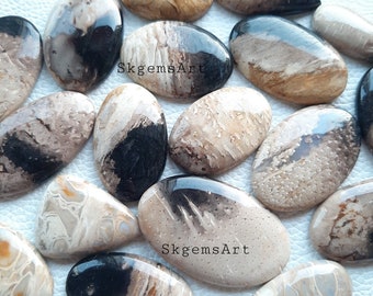 Natural PALM ROOT Agate Cabochon Wholesale Lot By Weight With Different Shapes And Sizes Used For Jewelry Making