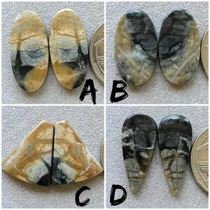 May include: Four sets of polished gemstone cabochons in various shapes. The stones feature a mix of tan, black, and gray colors with unique veining patterns. Each set is labeled with a letter, A, B, C, and D.