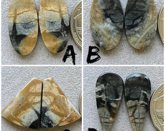 May include: Four sets of polished gemstone cabochons in various shapes. The stones feature a mix of tan, black, and gray colors with unique veining patterns. Each set is labeled with a letter, A, B, C, and D.