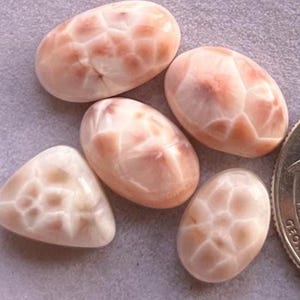 Può includere: Una collezione di pietre preziose lucide, di forma ovale e triangolare. Le pietre hanno una base bianca crema con motivi color pesca. Le pietre preziose sono disposte su una superficie neutra, mettendo in risalto le loro trame e colori unici.