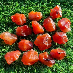 Puede incluir: Una colección de 15 cristales de cornalina, cada uno con una forma y un tamaño únicos. Los cristales son de un color rojo anaranjado vibrante y tienen una superficie lisa y pulida.