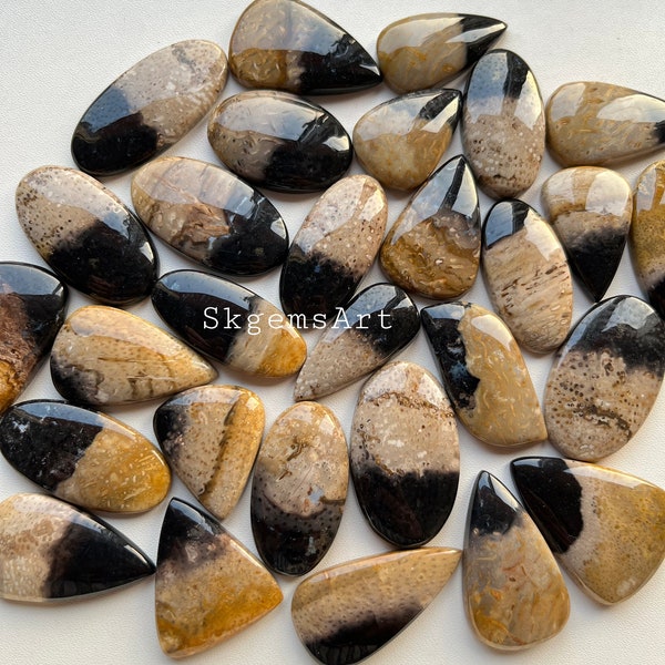 New High Quality PALM ROOT Agate Cabochon Wholesale Lot By Weight With Different Shapes And Sizes Used For Jewelry Making