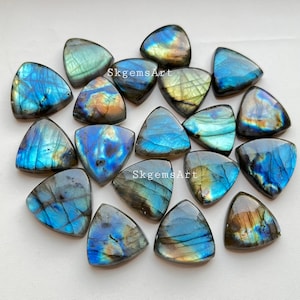 TRILLION Shape Labradorite Wholesale Lot AAA+ Blue and Multi Both Fire Round Cabochon Loose Gemstone For Jewelry Making