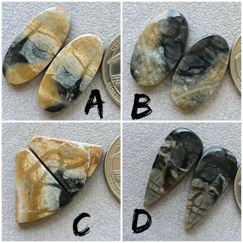 May include: Four sets of polished gemstone cabochons in various shapes. The stones feature a mix of tan, black, and gray colors with unique veining patterns. Each set is displayed next to a quarter for size reference.