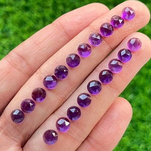 Può includere: Primo piano di venti pietre preziose di ametista, sfaccettate e lucidate, disposte in due file su una mano. Le pietre preziose sono di un colore viola intenso e hanno una finitura lucida.