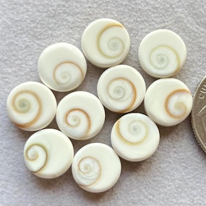 May include: Ten white round shell cabochons with a golden brown spiral pattern. The cabochons are approximately 1 inch in diameter.