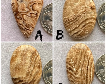 Puede incluir: Cuatro piedras cabujón con un patrón de bandas marrones y blancas. Las piedras están dispuestas en una cuadrícula. Las piedras son aproximadamente del tamaño de una moneda de 25 centavos de dólar estadounidense.