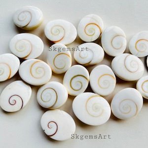 May include: A collection of oval-shaped, white, polished seashells with a spiral pattern in shades of brown and gold. The shells are arranged on a white surface. The text "SkgemsArt" appears twice in the image.