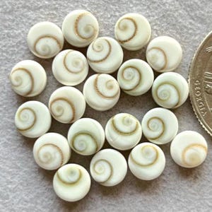 20 st. förpackning 6 mm naturlig ögonskal cabochon flatback ädelsten som används för smyckestillverkning