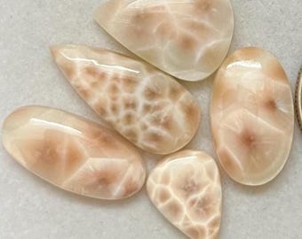 希少なトムソナイト - #4 - Etsy 日本