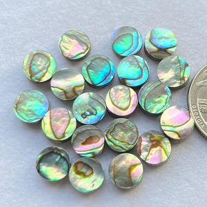 Könnte beinhalten: Eine Sammlung von irisierenden Abalone-Muschel-Cabochons in verschiedenen Blautönen, Grüntönen und Violetttönen. Die Cabochons haben einen Durchmesser von etwa 1,25 cm.