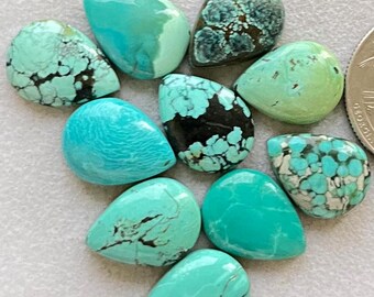 May include: Ten teardrop-shaped turquoise cabochons in various shades of blue and green, with some featuring black matrix. The stones are arranged in a cluster on a white surface.