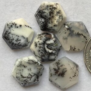May include: Five faceted hexagonal dendrite agate gemstones with white and translucent surfaces featuring dark, fern-like inclusions. The stones are arranged in a cluster next to a portion of a United States quarter coin for scale.