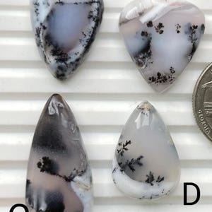 May include: Four polished dendritic agate gemstones in teardrop and rounded shapes. The stones feature a mix of white, gray, and black patterns, resembling landscapes. The gemstones are displayed on a white surface.