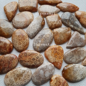 New Fossil Coral Cabochon Wholesale Lot By Weight With Different Shapes And Sizes Used For Jewelry Making