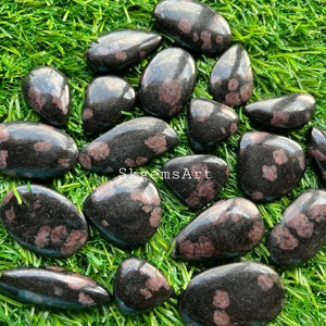 Könnte beinhalten: Eine Sammlung von 15 schwarzen und rosa gefleckten Steinen, auch bekannt als Dalmatinerjaspis, die auf einer grünen Grasfläche angeordnet sind. Die Steine sind glatt und poliert und haben verschiedene Formen und Größen.