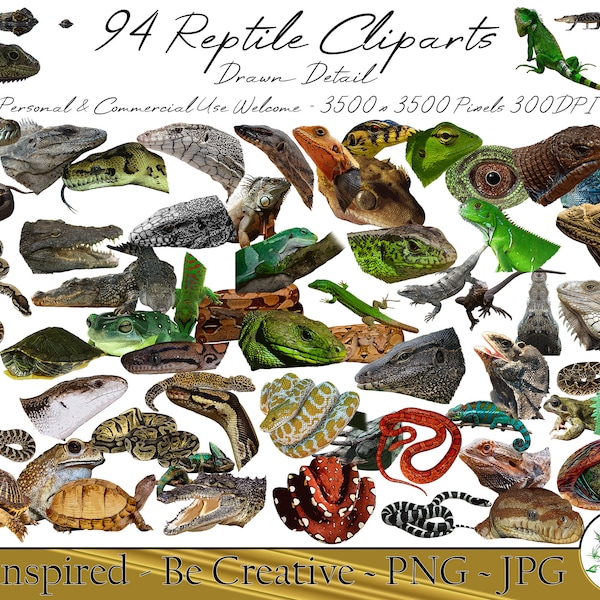 94 Reptile Cliparts Snake Lizard Frogs Amphibian Clip Arts Designs Bundle Assorted Reptiles Cold Blooded PNG JPG Digital Instant Download