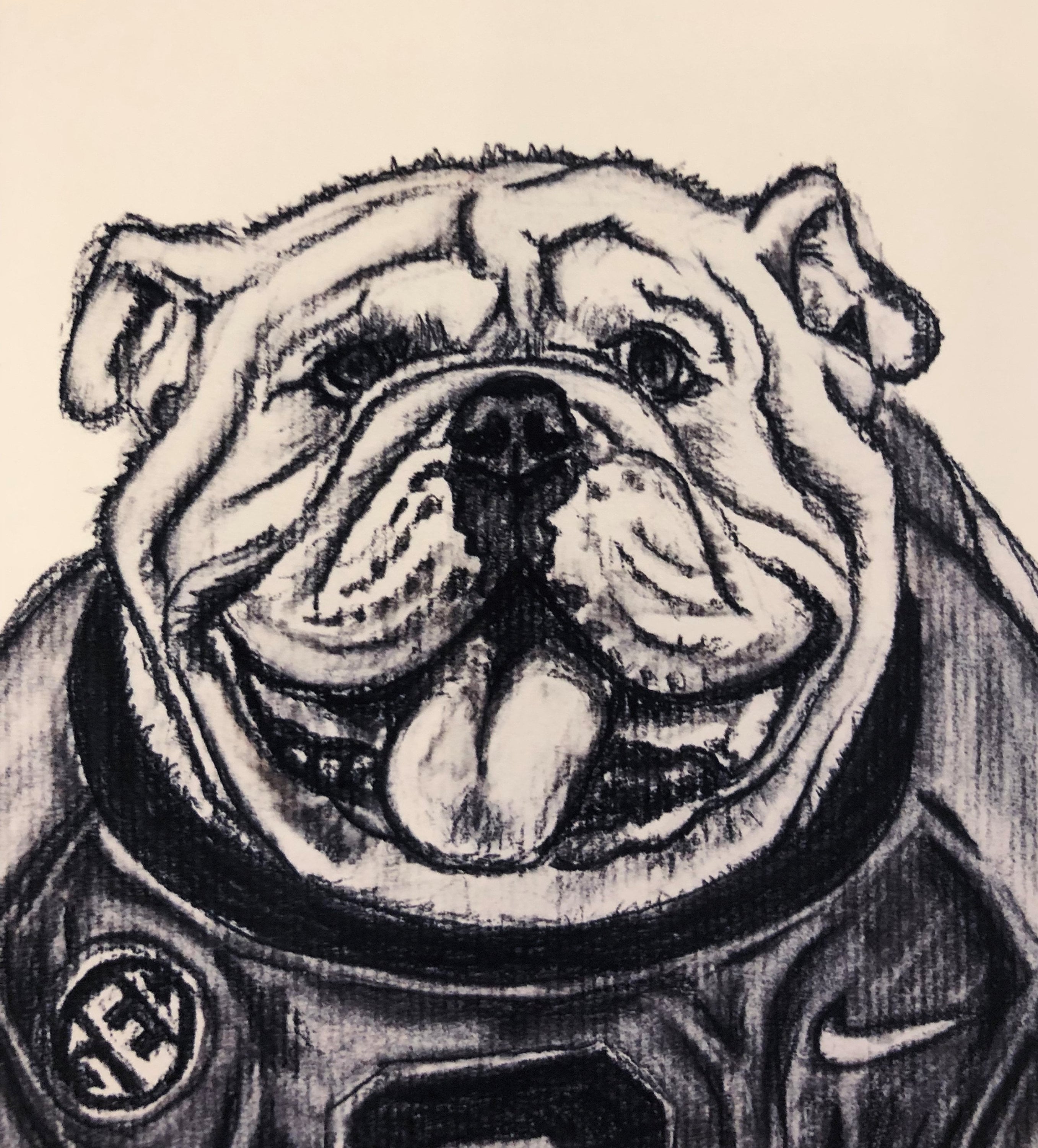 University of Georgia Bulldog Uga Original Charcoal Drawing | Etsy
