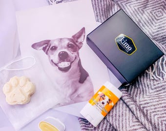 Dog Paw Care & Natural Solid Shampoo – Pet Grooming Essentials