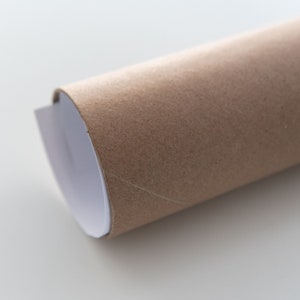 May include: A brown cardboard tube with a white paper lining. The tube is rolled up and the white paper is visible at the edge.