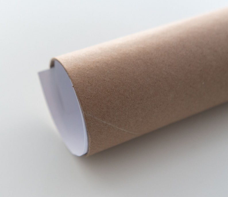 May include: A brown cardboard tube with a white paper lining. The tube is rolled up and the white paper is visible at the edge.