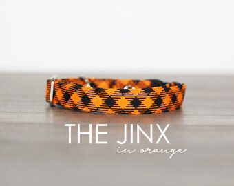 orange kitten collar