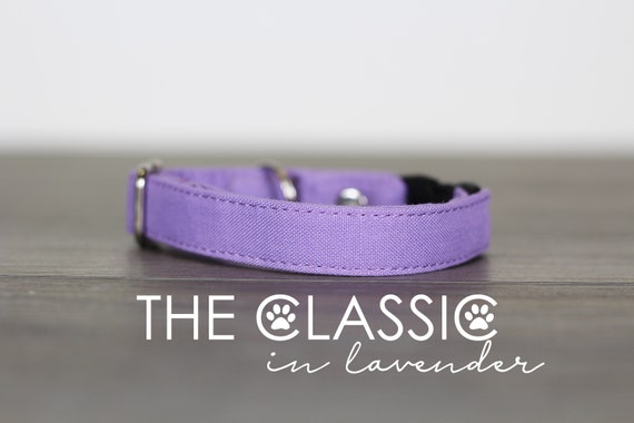 lavender cat collar
