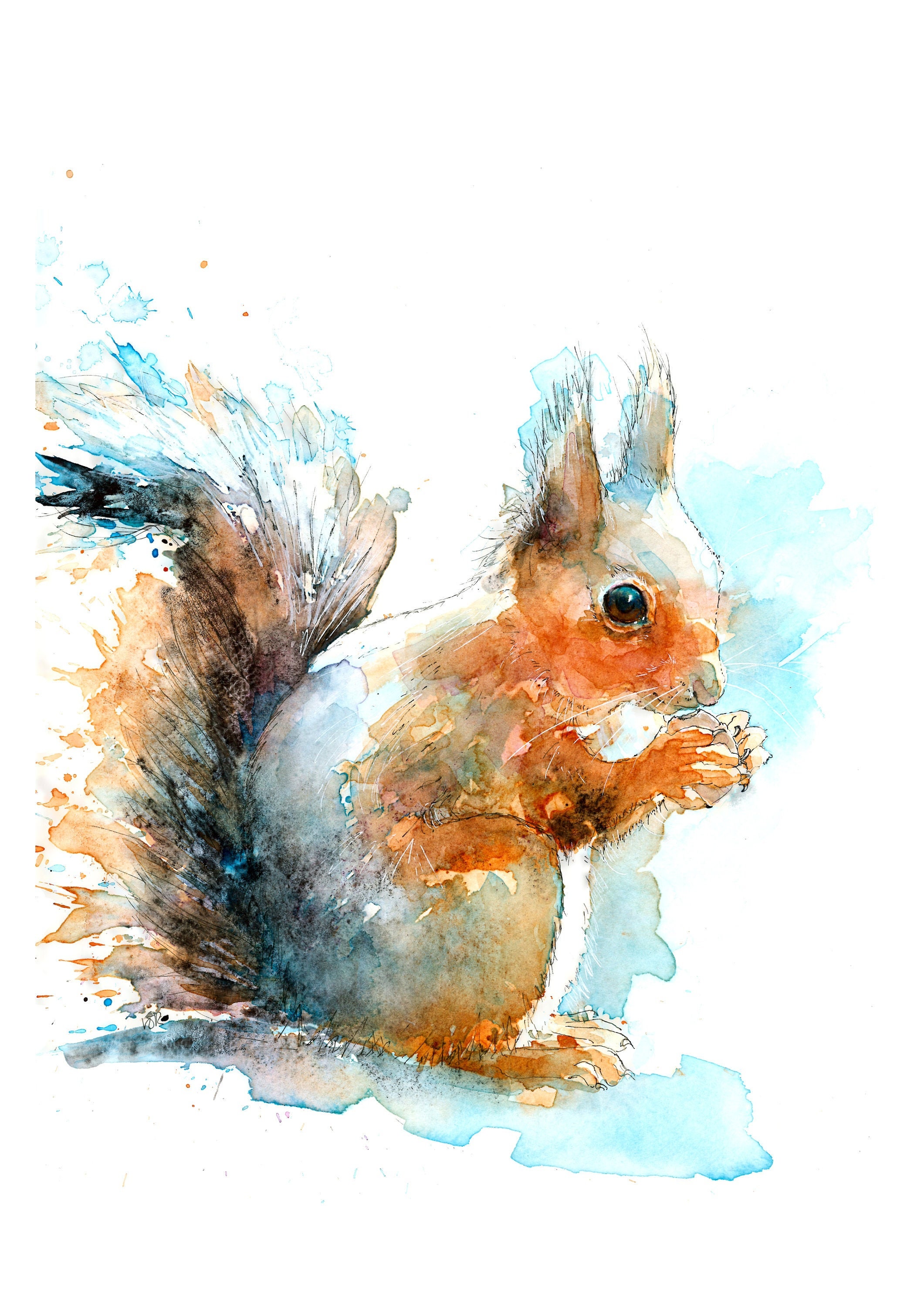 Original Drawing Forest Animal Watercolor Painting Squirrel Original Watercolor Drawing Squirrel Art Squirrel Wall Art Wildlife Painting Art & Collectibles Sibawor.id