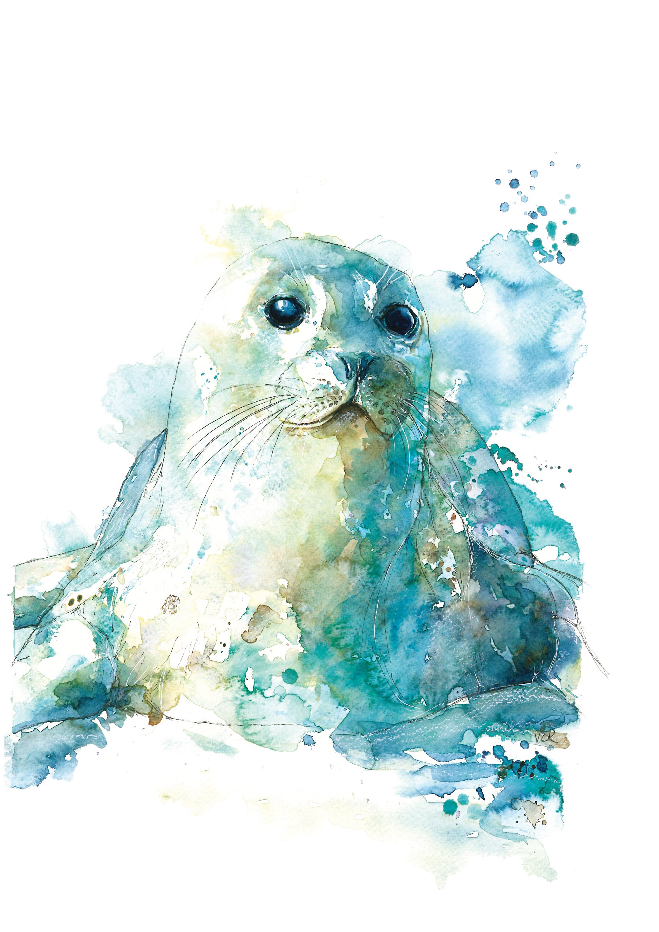 Seal Watercolour Painting Limited Edition Print of Original Etsy