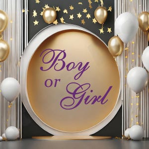 Girl or Boy Baby Shower Decal: Pregnancy Announcement Party Sticker