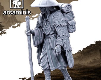 Village and Town Folk"Wandering Pilgrim Skeleton" #29 Unpainted  3d printed in Resin