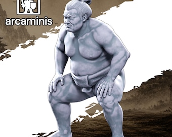 Village and Town Folk"Festival Sumo Wrestler" #24 Unpainted  3d printed in Resin