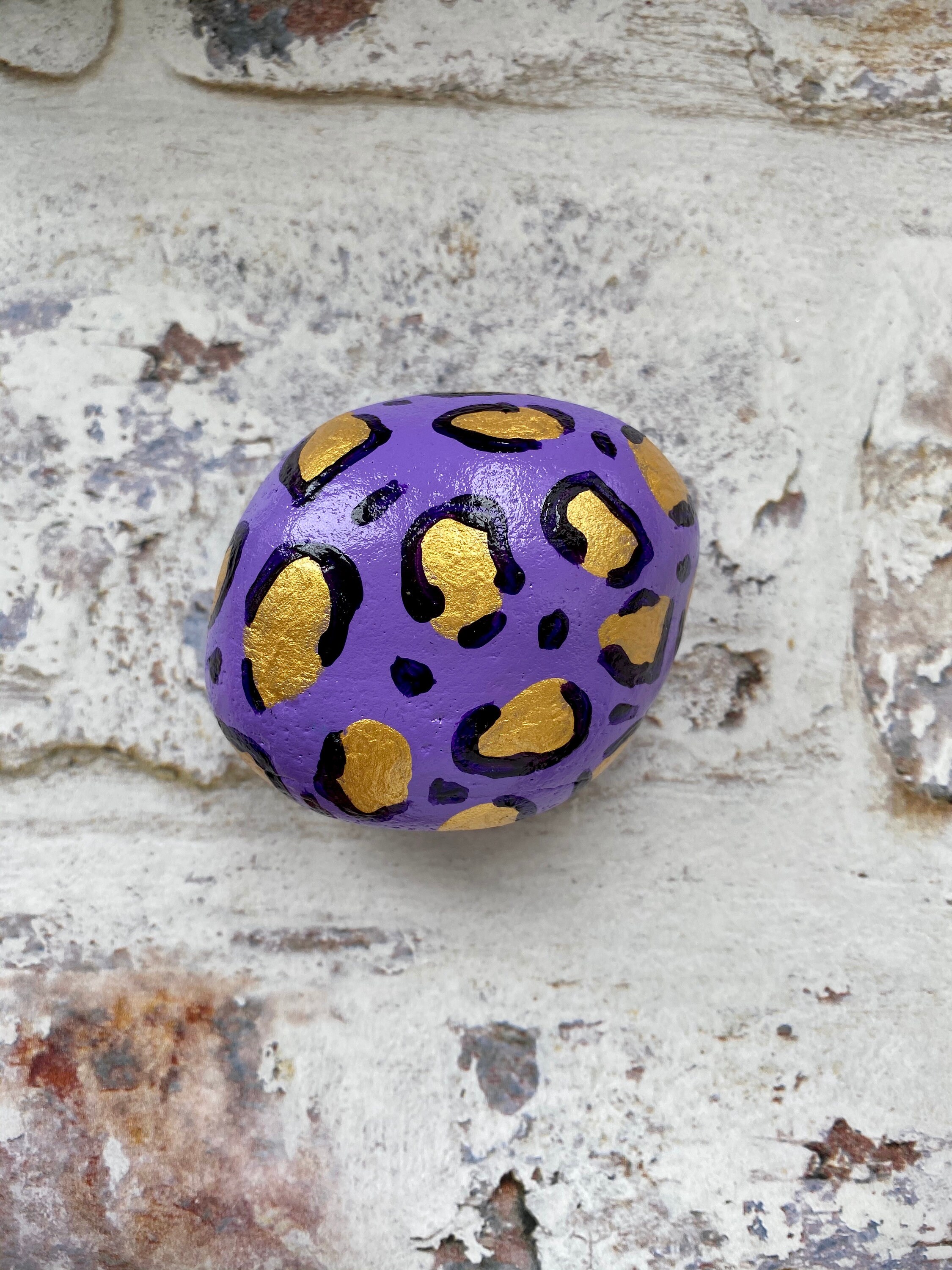 Bright Animal Print Painted Rock Paperweight Hand Painted Etsy