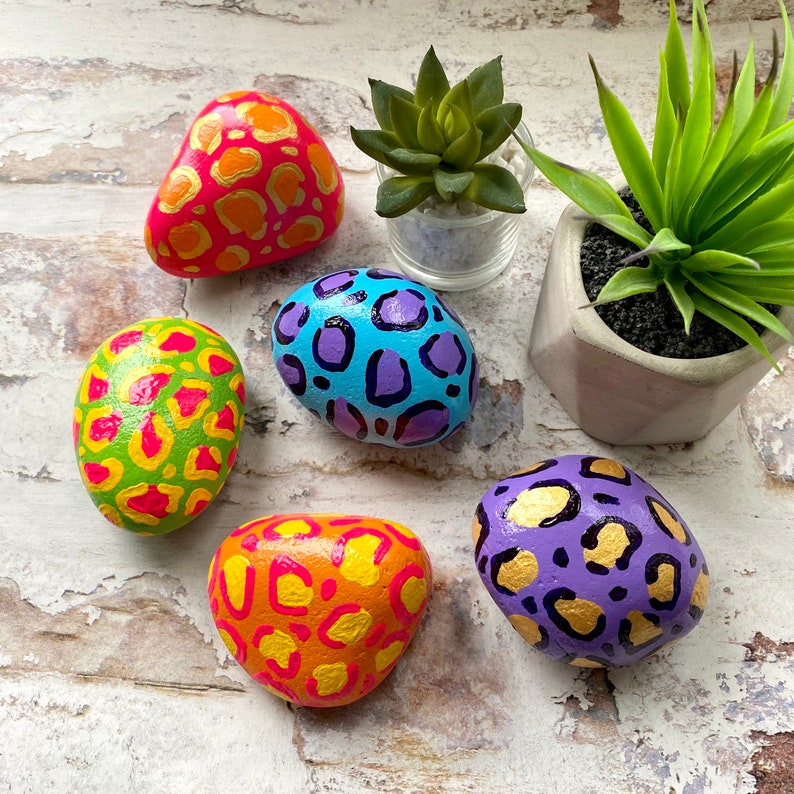 Bright Animal Print Painted Rock Paperweight Hand Painted Etsy