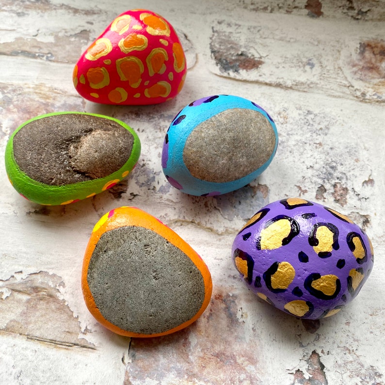 Bright Animal Print Painted Rock Paperweight Hand Painted Etsy
